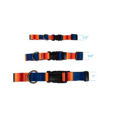 Show full view: Pendleton National Park Adventure Dog Collar, Grand Canyon, Large: 16 to 22-in neck, 1-in wide slide 5 of 7