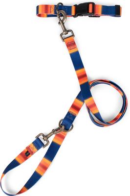 Show full view: Pendleton National Park Adventure Dog Collar, Grand Canyon, Large: 16 to 22-in neck, 1-in wide slide 4 of 7