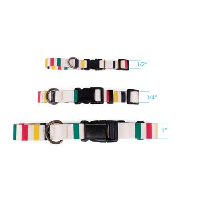 Show full view: Pendleton National Park Adventure Dog Collar, Glacier, Medium: 13 to 16-in neck, 3/4-in wide slide 5 of 7