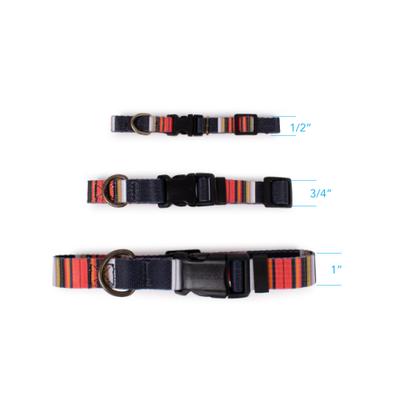 Show full view: Pendleton National Park Adventure Dog Collar, Acadia, Medium: 13 to 16-in neck, 3/4-in wide slide 5 of 7