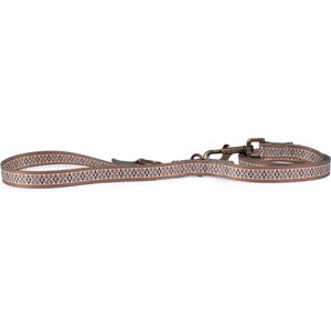 Pendleton Adventure Dog Leash, Westerly, 6-ft long, 3/4-in wide