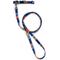 Show in main carousel: Pendleton National Park Adventure Dog Leash, Crater Lake, 6-ft long, 1/2-in wide slide 4 of 6