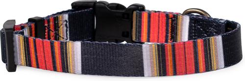 Show full view: Pendleton National Park Adventure Dog Collar, Acadia, Medium: 13 to 16-in neck, 3/4-in wide slide 2 of 7