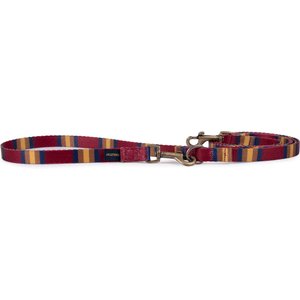 Pendleton National Park Adventure Dog Leash, Zion, 6-ft long, 1/2-in wide
