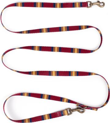 Show full view: Pendleton National Park Adventure Dog Leash, Zion, 6-ft long, 1/2-in wide slide 3 of 5
