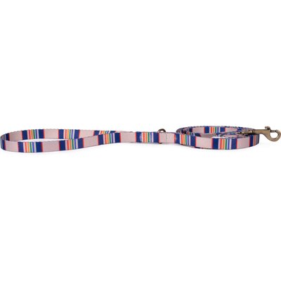 Pendleton Pendleton National Park Adventure Dog Leash, Yellowstone, 6-ft long, 1/2-in wide