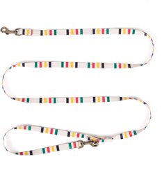 Pendleton National Park Adventure Dog Leash, Glacier, 6-ft long, 1/2-in wide slide 2 of 6