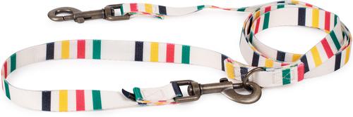 Show full view: Pendleton National Park Adventure Dog Leash, Glacier, 6-ft long, 3/4-in wide slide 2 of 6