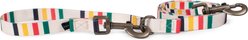 Pendleton National Park Adventure Dog Leash, Glacier, 6-ft long, 3/4-in wide