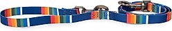 Pendleton National Park Adventure Dog Leash, Crater Lake, 6-ft long, 3/4-in wide
