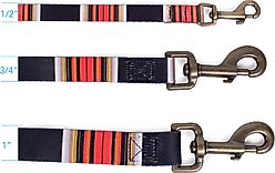 Pendleton National Park Adventure Dog Leash, Acadia, 6-ft long, 1-in wide slide 2 of 6