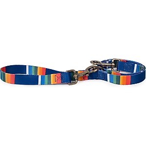 Pendleton National Park Adventure Dog Leash, Crater Lake, 6-ft long, 1-in wide