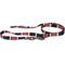Show in main carousel: Pendleton National Park Adventure Dog Leash, Acadia, 6-ft long, 3/4-in wide slide 3 of 7