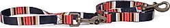 Pendleton National Park Adventure Dog Leash, Acadia, 6-ft long, 3/4-in wide