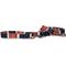 Show in main carousel: Pendleton National Park Adventure Dog Leash, Acadia, 6-ft long, 1-in wide slide 1 of 6