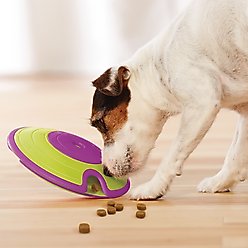 Nina Ottosson by Outward Hound Treat Maze Puzzle Game Dog Toy, Green & Purple slide 2 of 8