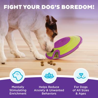 Show full view: Nina Ottosson by Outward Hound Treat Maze Puzzle Game Dog Toy, Green & Purple slide 2 of 11