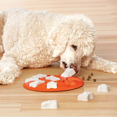 Show full view: Nina Ottosson by Outward Hound Puppy Smart Dog Toy, Orange slide 8 of 11