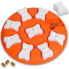 Nina Ottosson by Outward Hound Puppy Smart Dog Toy, Orange