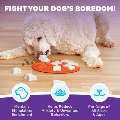 Show full view: Nina Ottosson by Outward Hound Puppy Smart Dog Toy, Orange slide 2 of 11