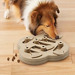 Nina Ottosson by Outward Hound Hide N' Slide Puzzle Game Dog Toy, Large slide 2 of 8