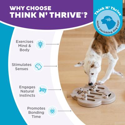 Show full view: Nina Ottosson by Outward Hound Hide N' Slide Puzzle Game Dog Toy, Large slide 6 of 12