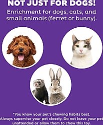 Nina Ottosson by Outward Hound Puppy Hide N Slide Treat Puzzle Enrichment Dog Toy, Purple slide 2 of 8