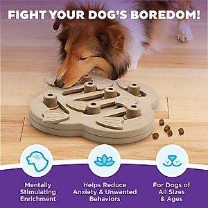 Nina Ottosson by Outward Hound Hide N' Slide Puzzle Game Dog Toy, Large