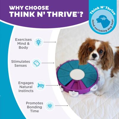 Show full view: Nina Ottosson by Outward Hound Twister Puzzle Game Dog Toy, Blue & Purple slide 6 of 11