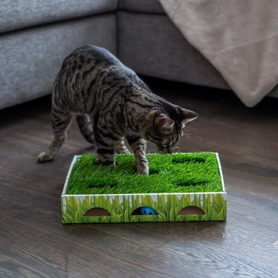 Show full view: Catstages Grass Patch Hunting Box Cat Scratcher Toy slide 7 of 12