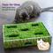 Show in main carousel: Catstages Grass Patch Hunting Box Cat Scratcher Toy slide 6 of 12