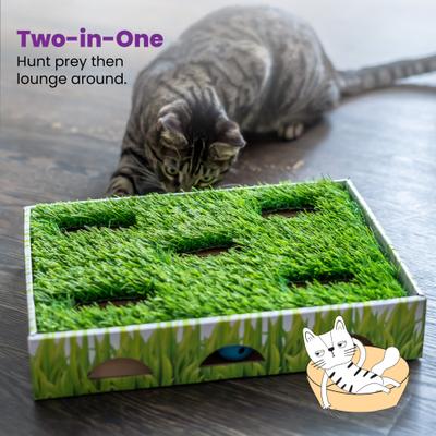 Show full view: Catstages Grass Patch Hunting Box Cat Scratcher Toy slide 6 of 12