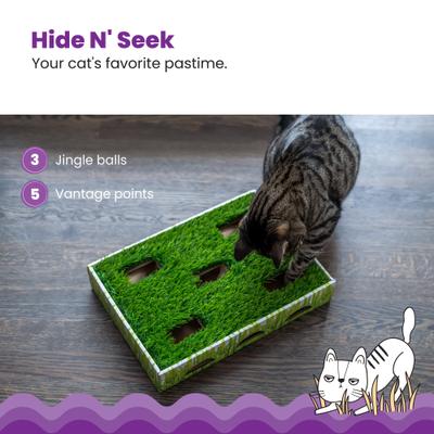 Show full view: Catstages Grass Patch Hunting Box Cat Scratcher Toy slide 4 of 12