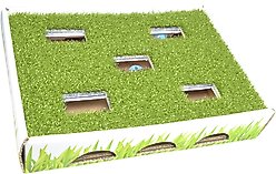 Catstages Grass Patch Hunting Box Cat Scratcher Toy