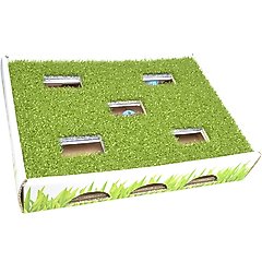 Catstages Grass Patch Hunting Box Cat Scratcher Toy