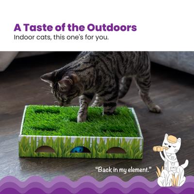 Show full view: Catstages Grass Patch Hunting Box Cat Scratcher Toy slide 2 of 12