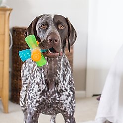 Outward Hound Triple Jack Squeaky Dog Chew Toy slide 2 of 6