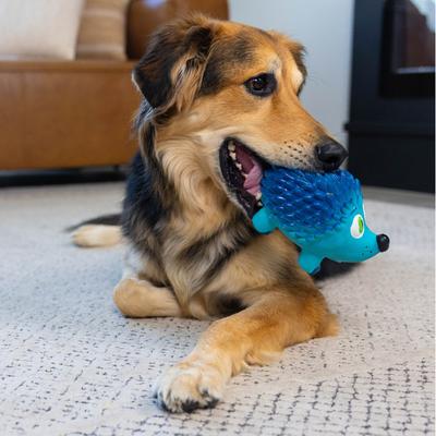 Show full view: Outward Hound Tootiez Squeaky Stuffing-Free Dog Toy, Hedgehog slide 5 of 8