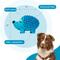 Show in main carousel: Outward Hound Tootiez Squeaky Stuffing-Free Dog Toy, Hedgehog slide 3 of 8