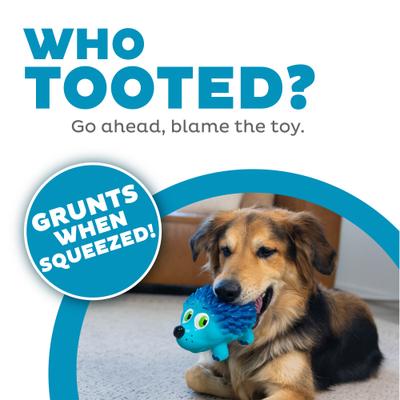 Show full view: Outward Hound Tootiez Squeaky Stuffing-Free Dog Toy, Hedgehog slide 2 of 8
