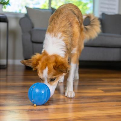 Show full view: Outward Hound Orbee-Tuff Guru Treat Dispensing Dog Chew Toy, Blue slide 7 of 12