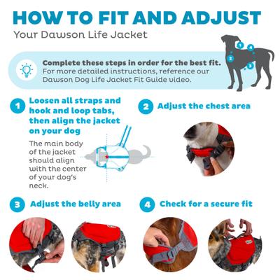 Show full view: Outward Hound Neoprene Dawson Swimmer Dog Life Jacket, X-Large slide 3 of 10