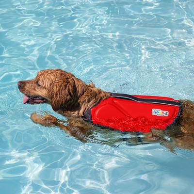 Show full view: Outward Hound Neoprene Dawson Swimmer Dog Life Jacket, X-Large slide 6 of 10