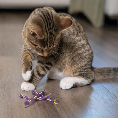 Show full view: Catstages Nighttime Catnip Rolls Cat Plush Toy Pack with Catnip, Purple slide 7 of 12