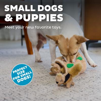 Show full view: Outward Hound Replacement Squirrels for Hide A Squirrel Dog Toy, 3 count slide 5 of 11