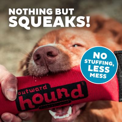 Show full view: Outward Hound Firehose Squeak N Fetch Dog Toy, Medium slide 5 of 11