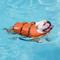 Show in main carousel: Outward Hound Granby RipStop Dog Life Jacket, Large, Bright Orange slide 7 of 14