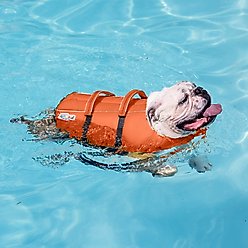 Outward Hound Granby RipStop Dog Life Jacket, Small, Bright Orange slide 2 of 9