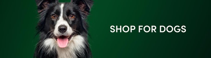 Shop for dogs