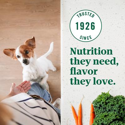 Show full view: Nutro Ultra Adult Small Breed High Protein Trio of Proteins Chicken, Lamb & Salmon Dry Dog Food, 12-lb bag slide 6 of 11